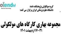 ۳۱-۱۷ اردیبهشت ۱۴۰۱کارگاه های مولکولی در بهار ۱۴۰۱ در پژوهشکده غدد درون ریز و متابولیسم برگزار می شود.